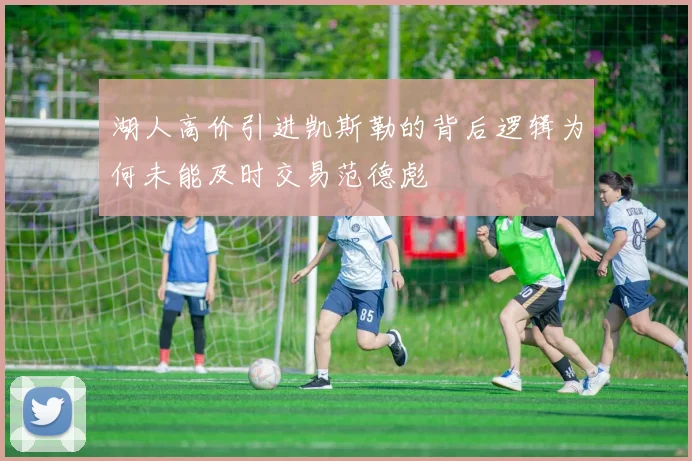 湖人高价引进凯斯勒的背后逻辑为何未能及时交易范德彪