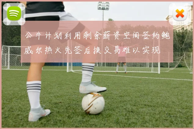 公牛计划利用剩余薪资空间签约鲍威尔热火先签后换交易难以实现