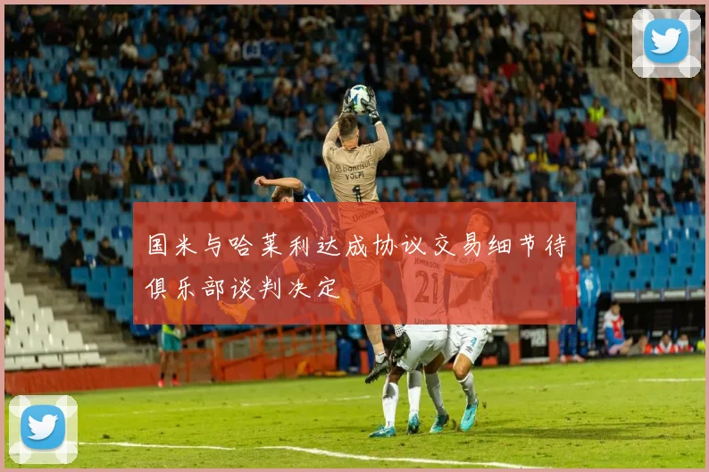 国米与哈莱利达成协议交易细节待俱乐部谈判决定
